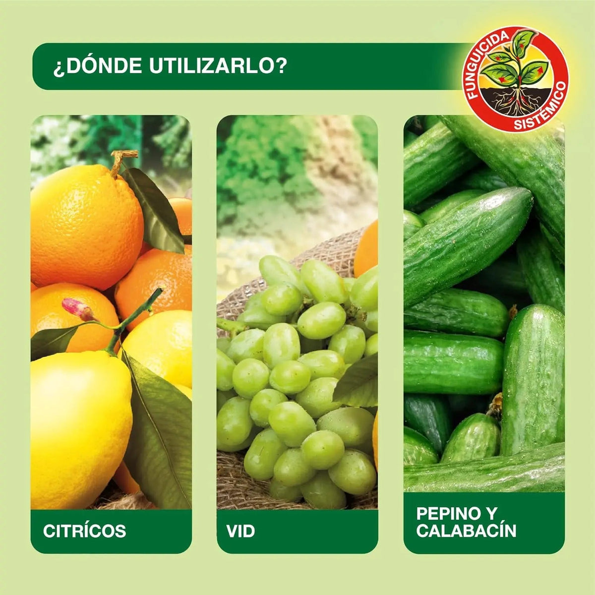 Fongicide gazon Protect garden 500g