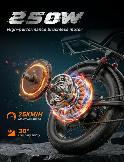 48V 20Ah 960Wh Fat Tyre E-Bike for Adults, 250W Brushless Motor, Removable Battery, Dual Suspension & 7-Speed