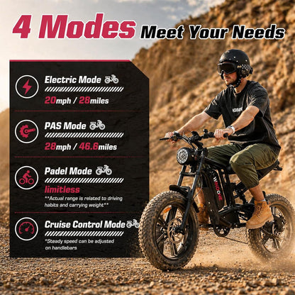 26-Inch Fat Tyre Electric Bike for Adults, 48V 13Ah Removable Battery, 1000W Peak Brushless Motor, Dual Suspension