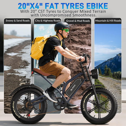 48V 17Ah Fat Tyre E-Bike for Adults, 250W Brushless Motor, Removable Battery, Full Suspension & 7-Speed