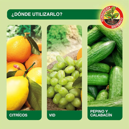 Fongicide gazon Protect garden 500g
